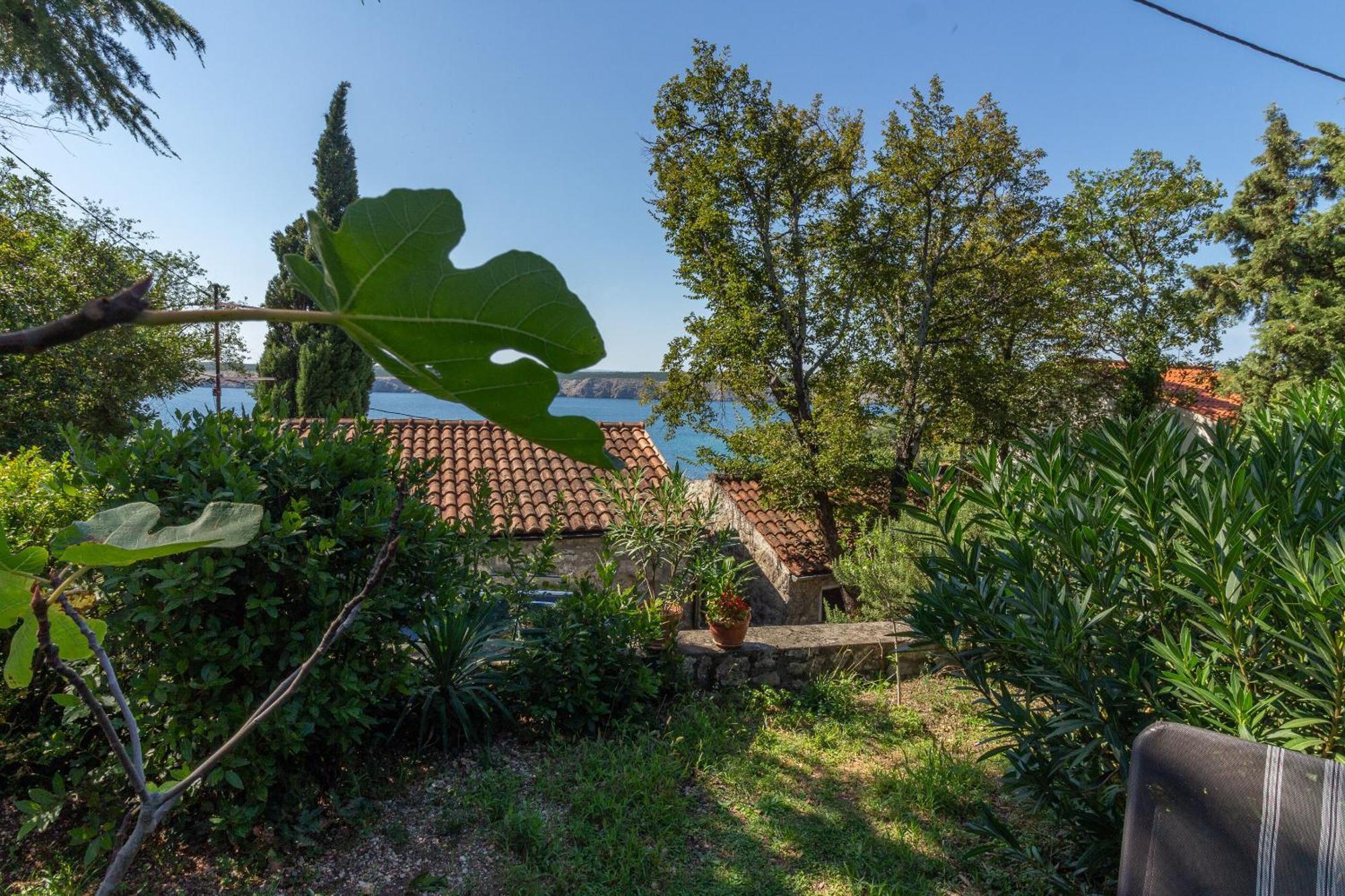 Apartment Seneca Jadranovo Dış mekan fotoğraf