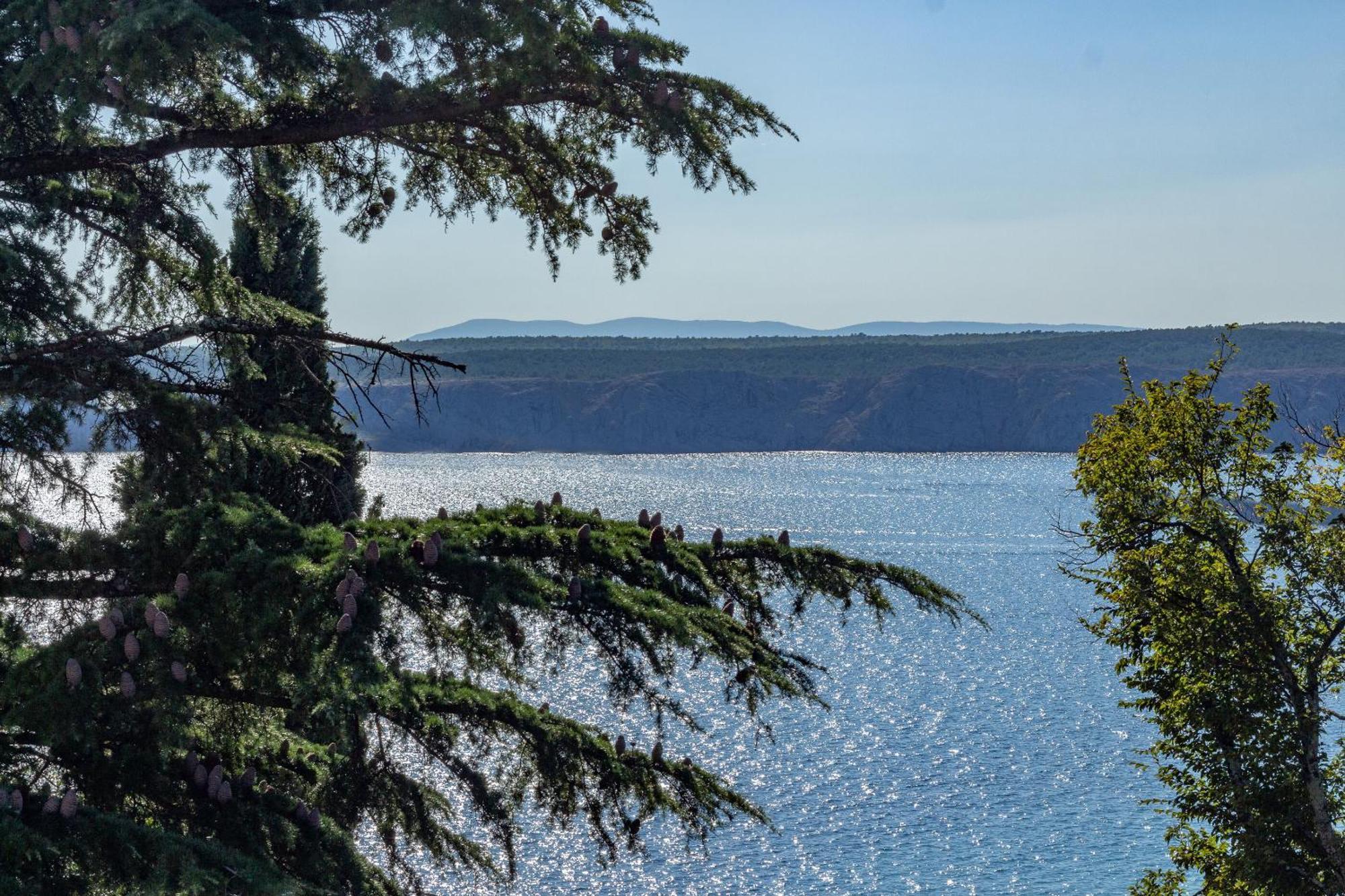 Apartment Seneca Jadranovo Dış mekan fotoğraf